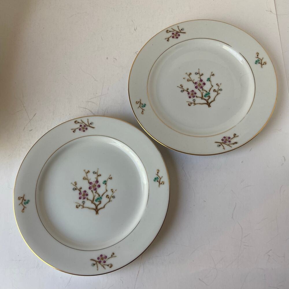 Narumi China Japan Salad Plates (2) Early Spring Round Gold Trim Floral Branches